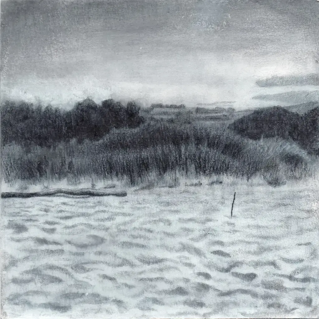 Disegno di un paesaggio naturale visto da una spiaggia.