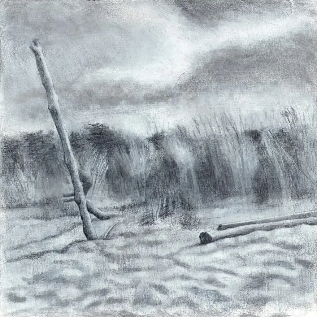 Disegno di un paesaggio naturale, vegetazione vista da una spiaggia.