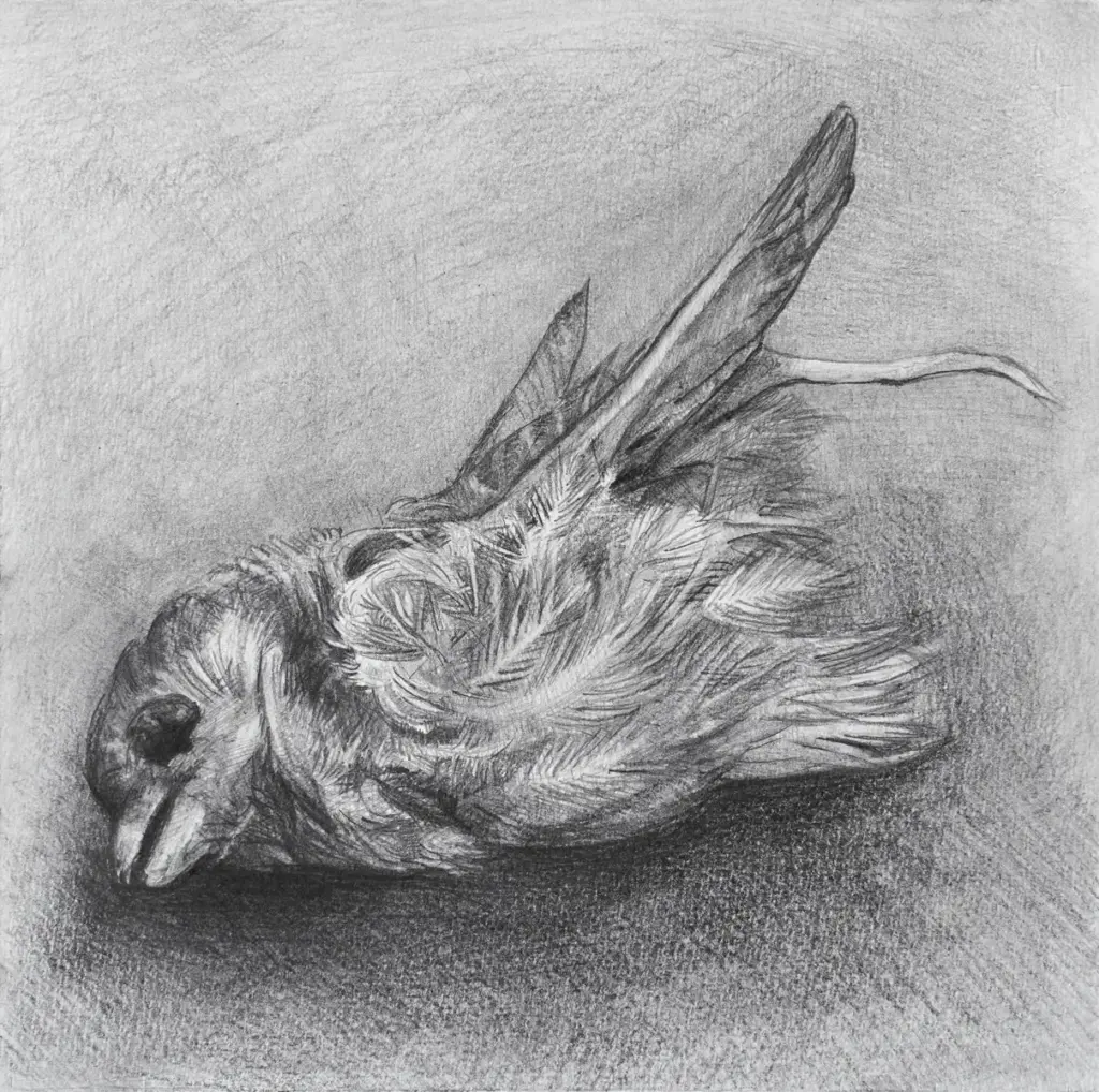 Disegno intitolato "Natura morta" appartenente al ciclo cocci.